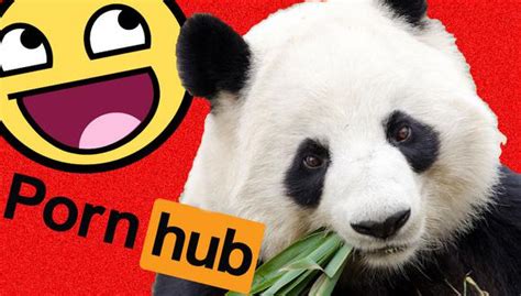 pornhub panda